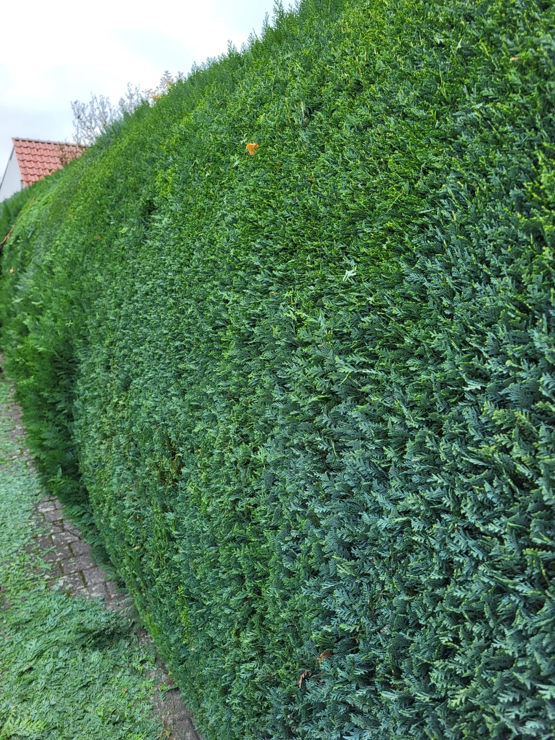 GRH Service Hübusch Einzelunternehmen – Handwerker – Gartenpflegearbeiten